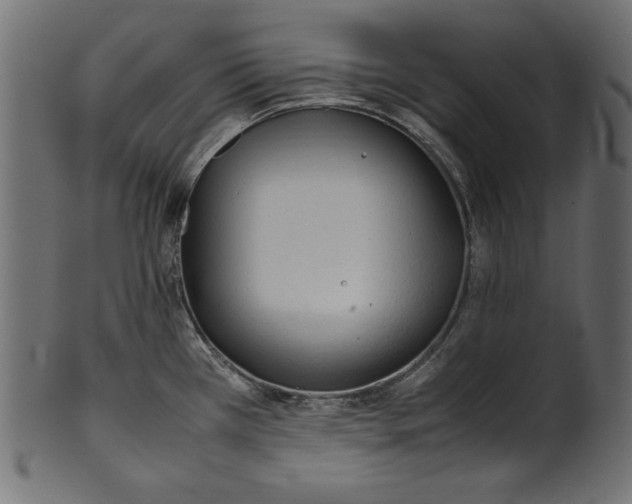 X0000100851385200807181046