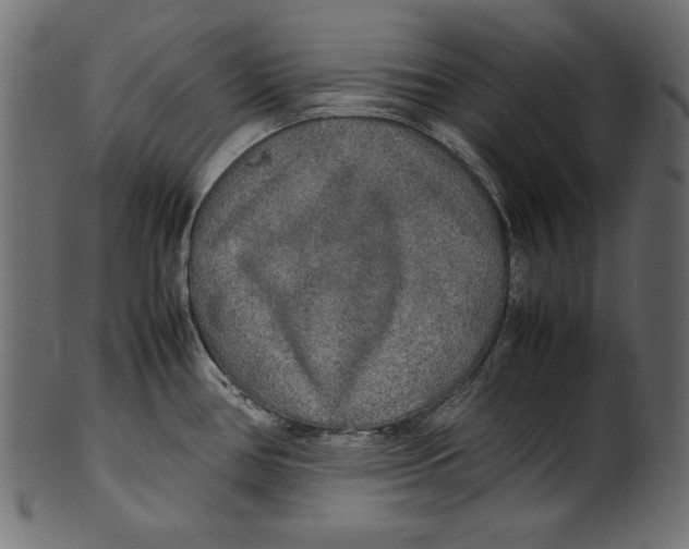 X0000100851386200807181046