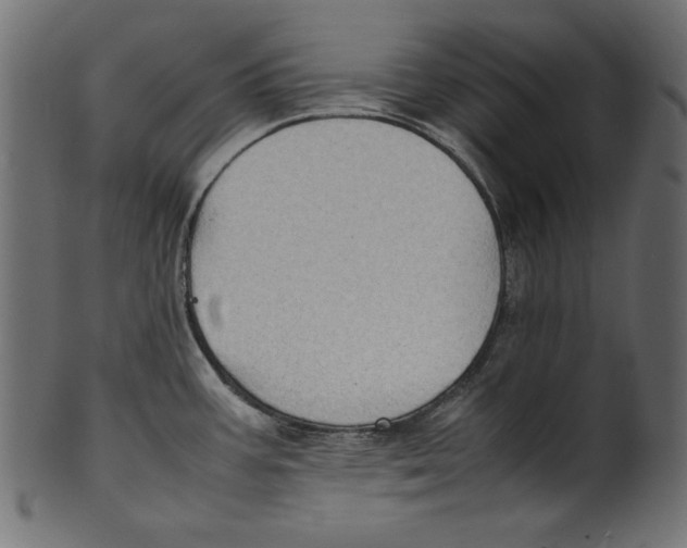 X0000100851387200807181046