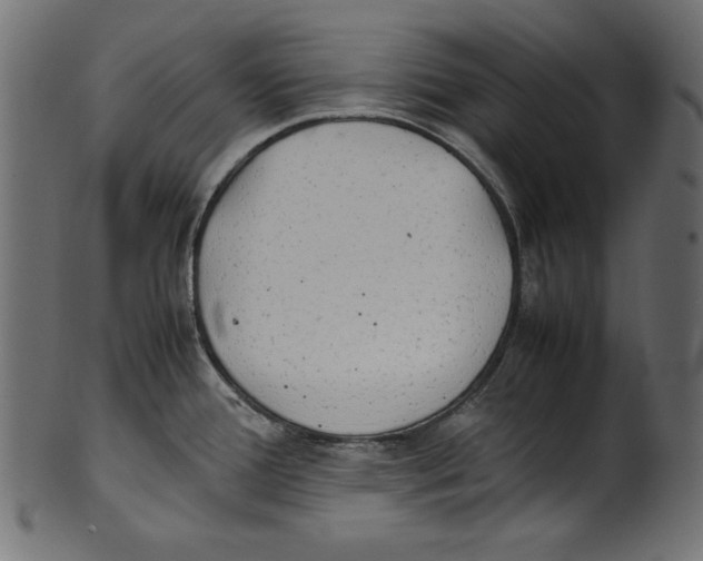 X0000100851388200807181046