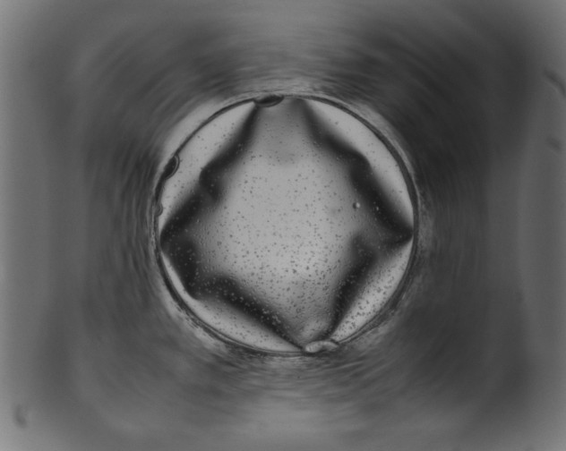 X0000100851389200807181046