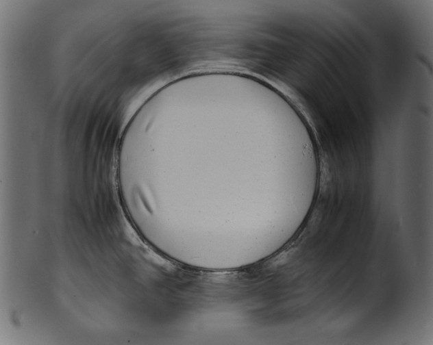 X0000100851390200807181046