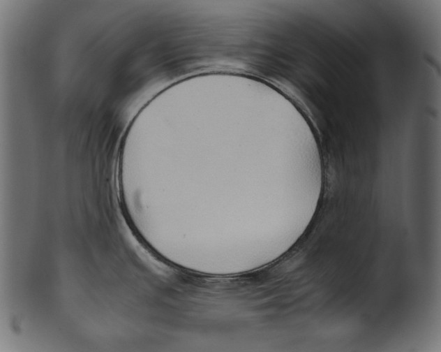 X0000100851391200807181046