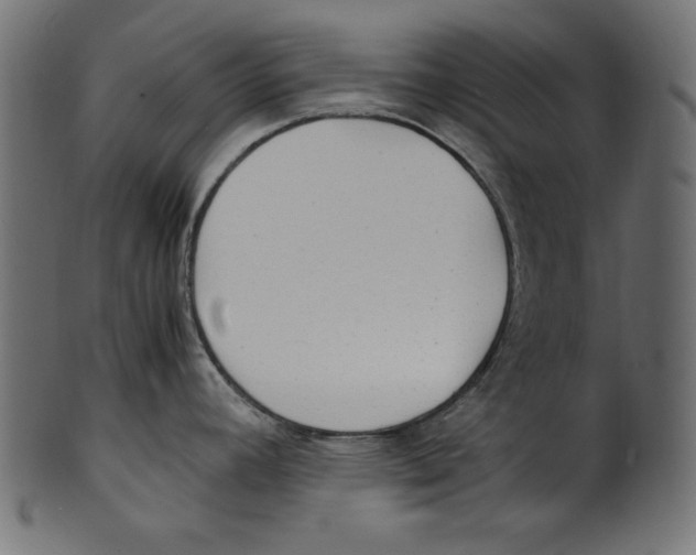 X0000100851392200807181046