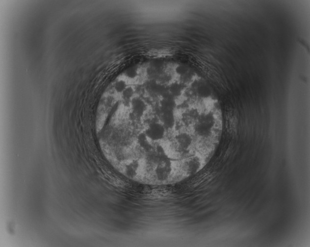 X0000100851393200807181045