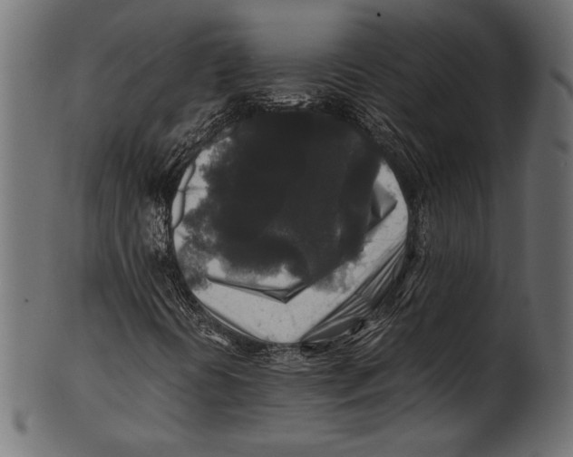 X0000100851394200807181045