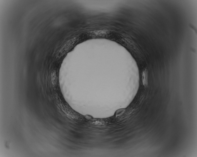 X0000100851395200807181045