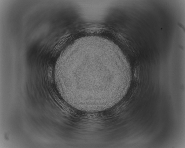 X0000100851396200807181045