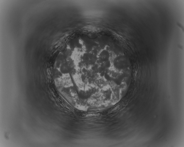 X0000100851397200807181045