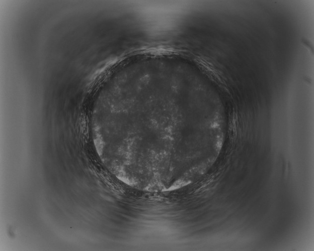 X0000100851398200807181045