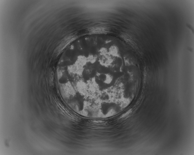 X0000100851401200807181045