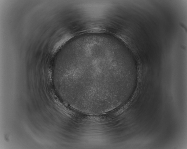 X0000100851402200807181045