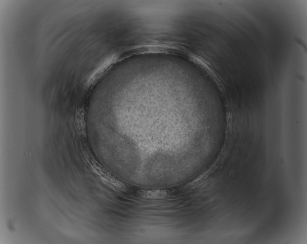 X0000100851403200807181045