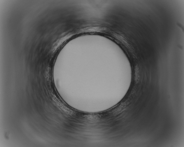X0000100851404200807181046