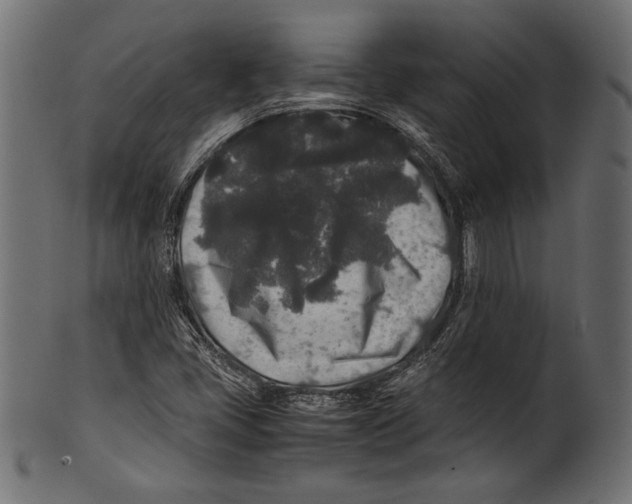 X0000100851405200807181046