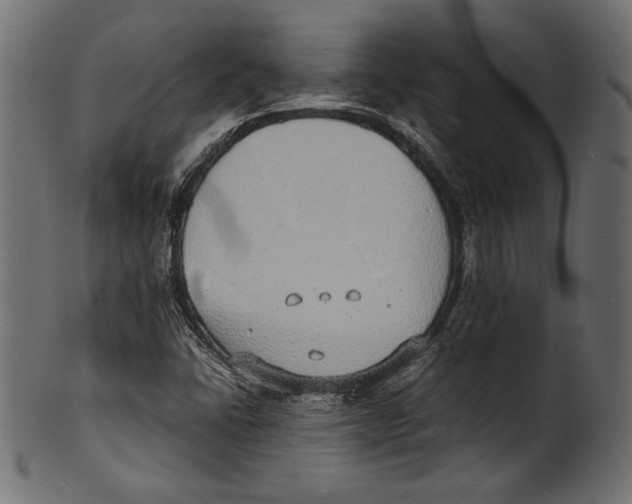 X0000100851406200807181046