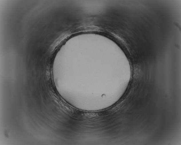 X0000100851407200807181046
