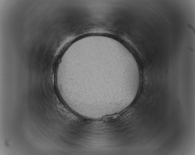 X0000100851408200807181046
