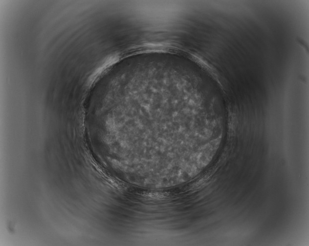 X0000100851411200807181046
