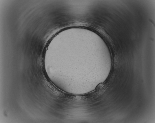X0000100851412200807181046