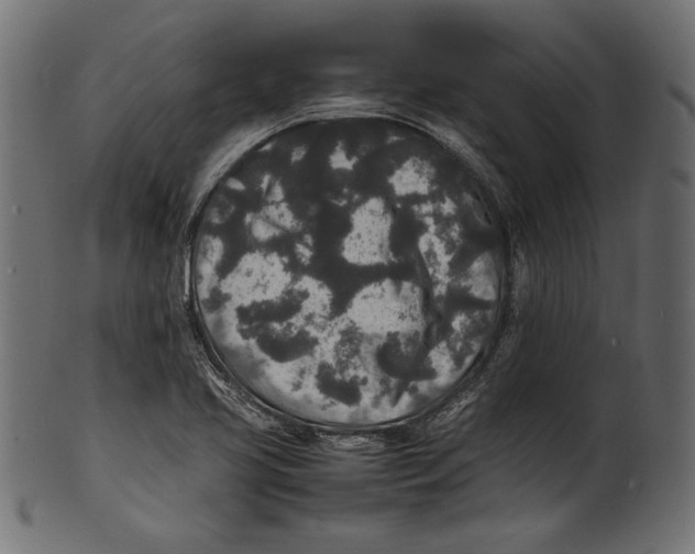 X0000100851413200807181046