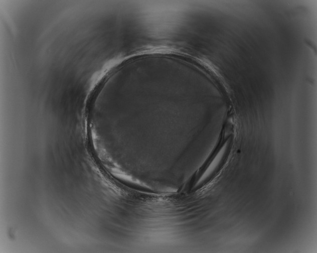 X0000100851414200807181046