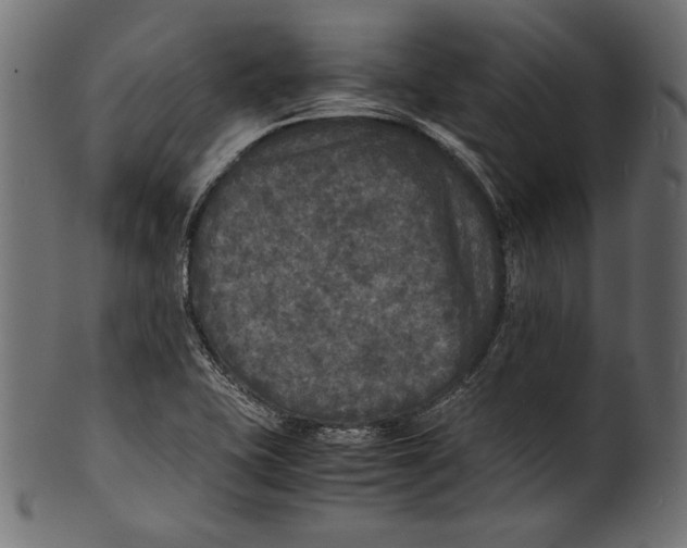 X0000100851415200807181046