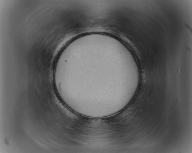 X0000100851416200807181046