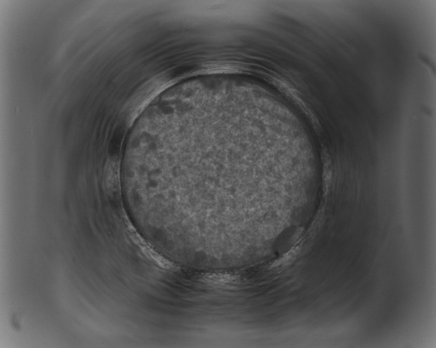 X0000100851417200807181046