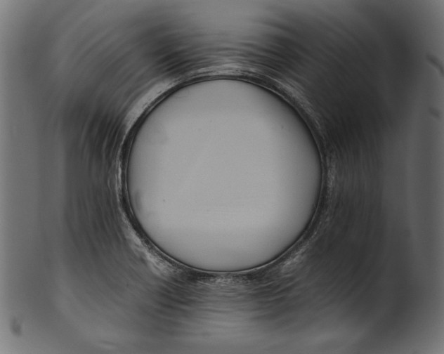 X0000100851418200807181046