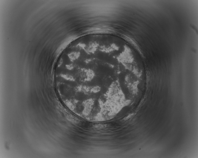 X0000100851419200807181046