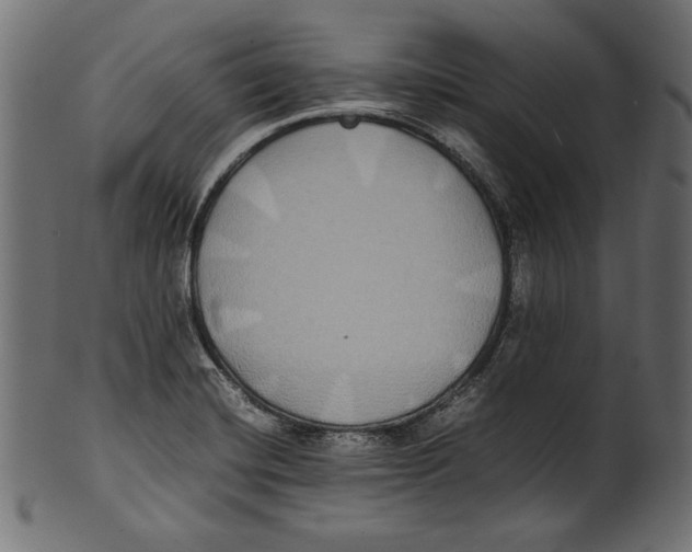 X0000100851420200807181046