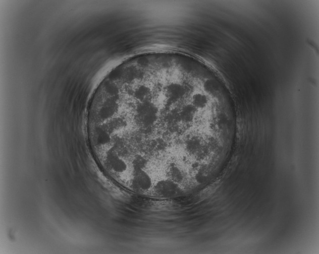 X0000100851421200807181046