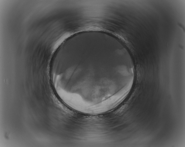 X0000100851422200807181046