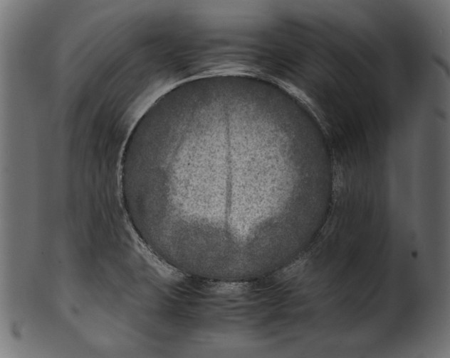 X0000100851423200807181046