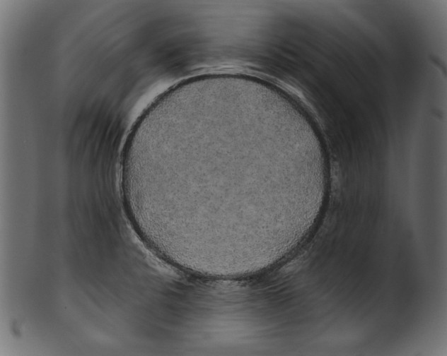 X0000100851424200807181046
