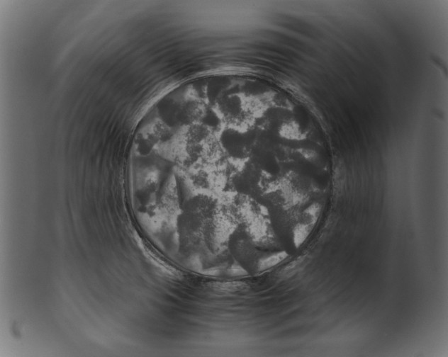 X0000100851425200807181046