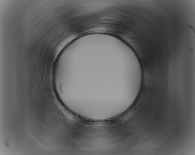 X0000100851426200807181046