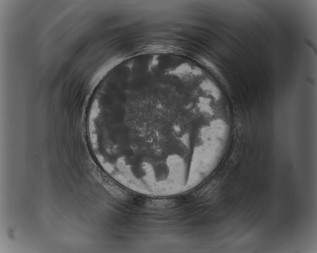 X0000100851427200807181046