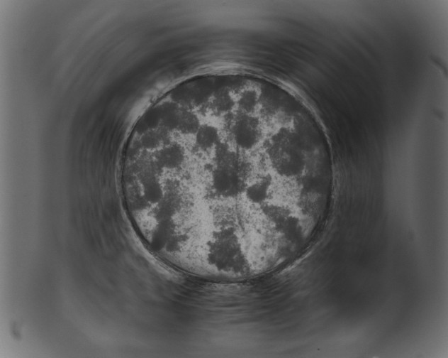 X0000100851429200807181046