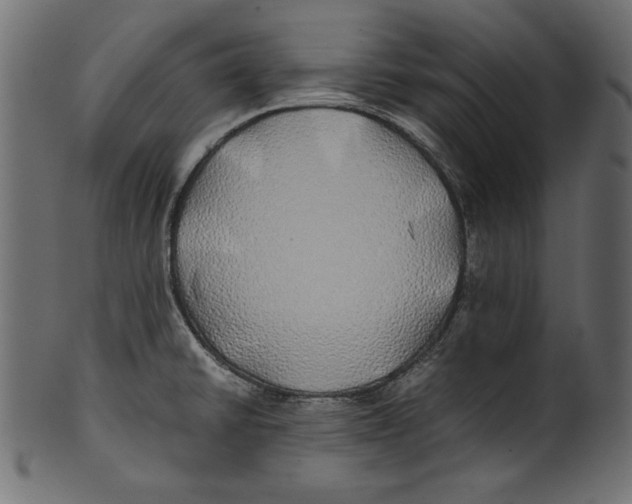 X0000100851430200807181046