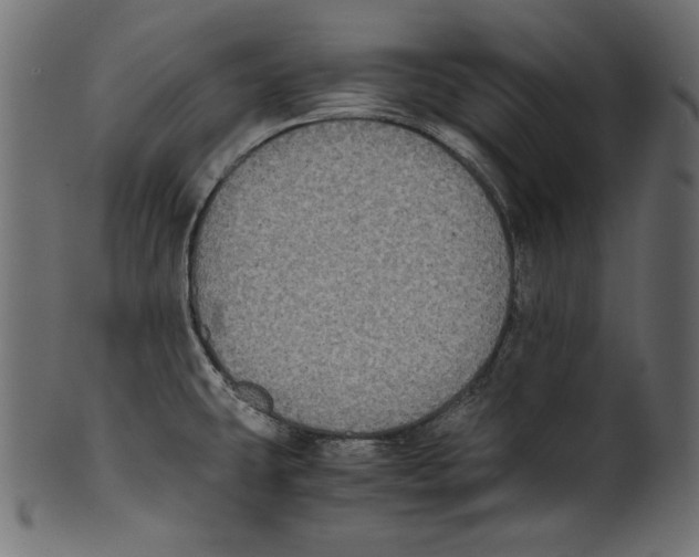 X0000100851431200807181046