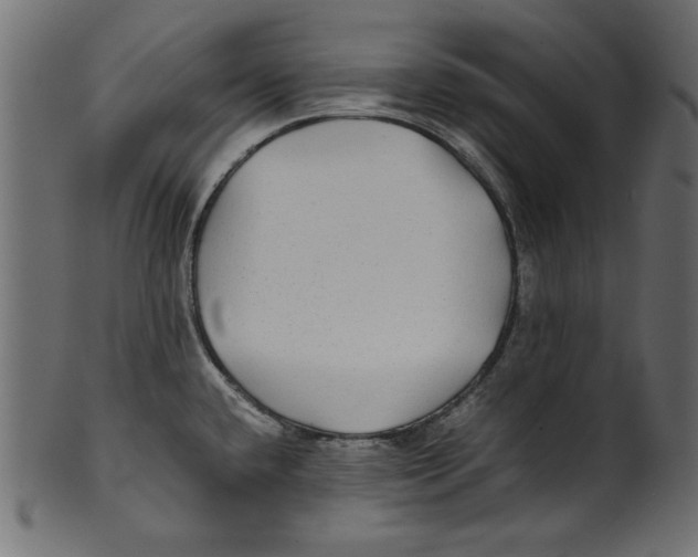 X0000100851432200807181046