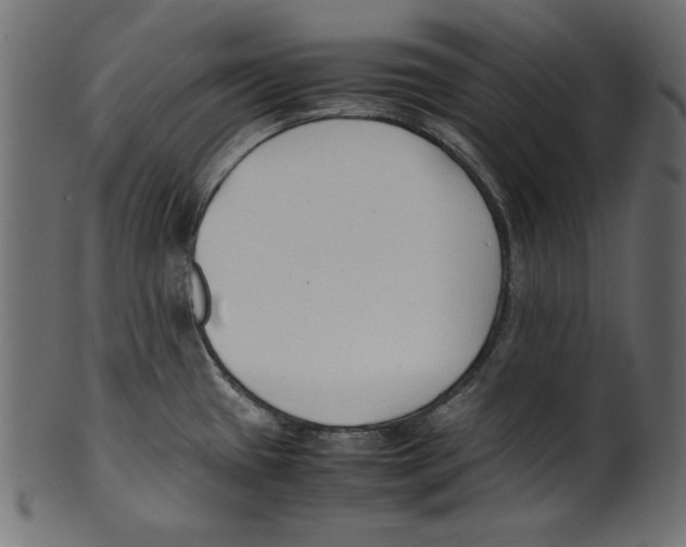 X0000100851433200807181046