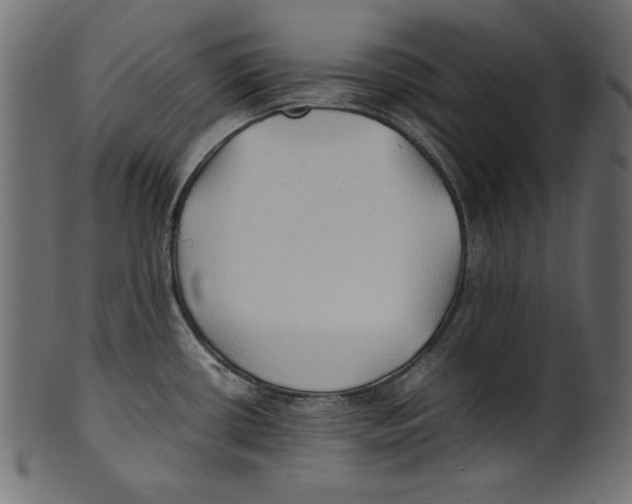 X0000100851434200807181046