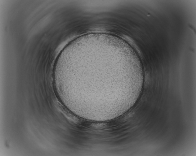X0000100851435200807181046