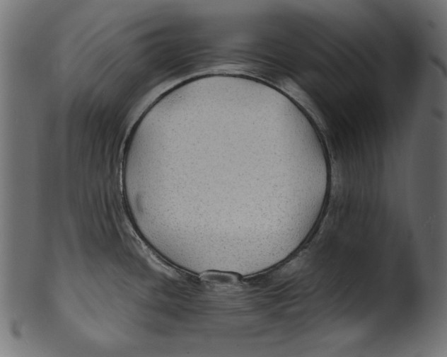 X0000100851436200807181046
