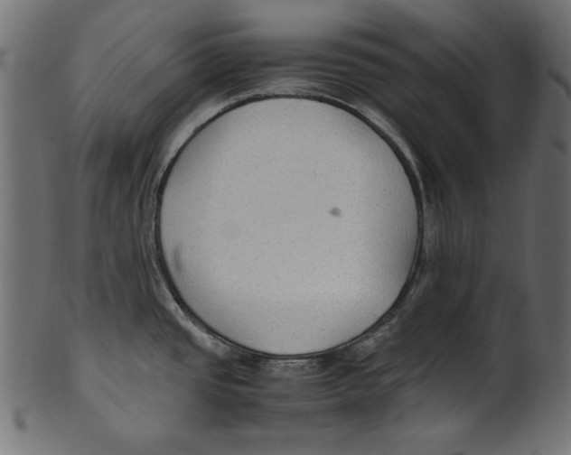 X0000100851437200807181046