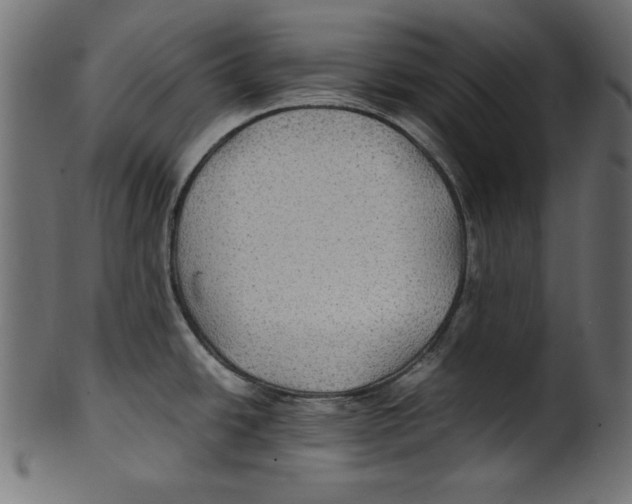 X0000100851438200807181046