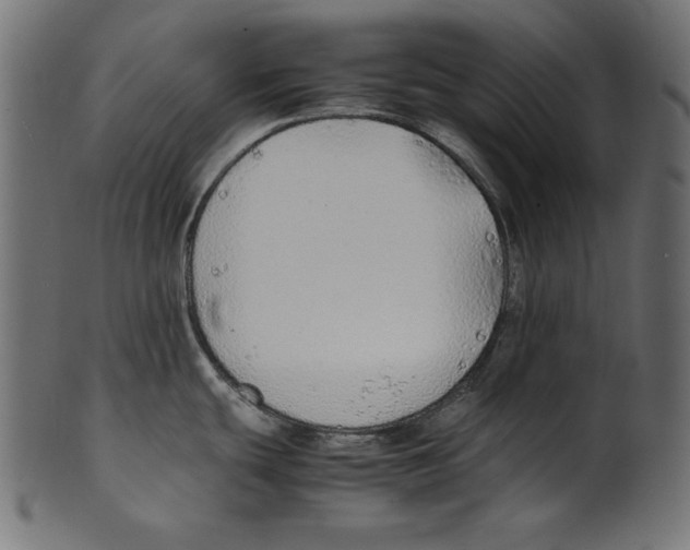 X0000100851439200807181046